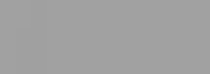 RAL 9006
